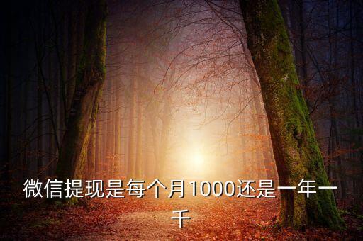 微信提現(xiàn)是每個(gè)月1000還是一年一千