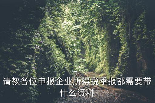 請教各位申報企業(yè)所得稅季報都需要帶什么資料