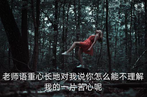 老師語重心長(zhǎng)地對(duì)我說你怎么能不理解我的一片苦心呢