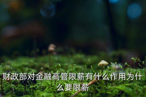 財政部對金融高管限薪有什么作用為什么要限薪