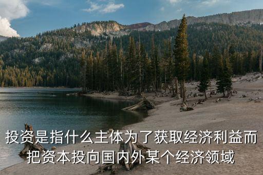 投資主體指什么，投資是指什么主體為了獲取經(jīng)濟利益而把資本投向國內(nèi)外某個經(jīng)濟領(lǐng)域