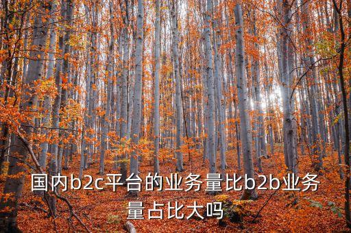 國內(nèi)b2c平臺的業(yè)務(wù)量比b2b業(yè)務(wù)量占比大嗎