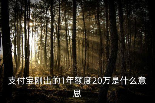 支付寶20萬一年什么意思，當前余額支付額度20萬一年是什么意思