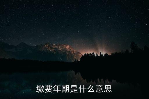 繳費年期是什么意思