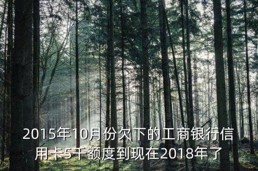 2015信用卡欠款最多漲到什么程度，信用卡欠十二萬怎么漲到二十四萬