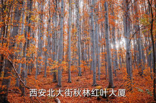 西安北大街秋林紅葉大廈