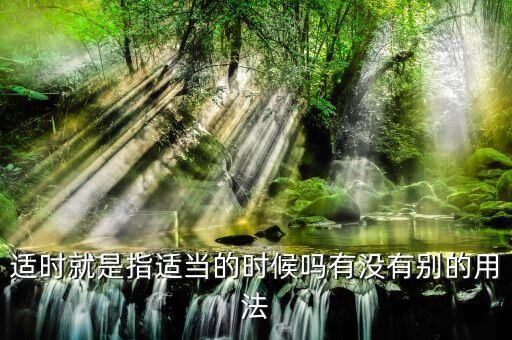 適時(shí)考慮什么意思，適時(shí)就是指適當(dāng)?shù)臅r(shí)候嗎有沒有別的用法