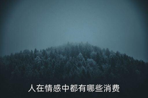 人在情感中都有哪些消費(fèi)