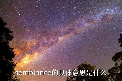 semblance的具體意思是什么