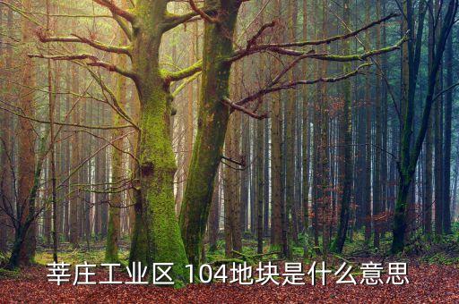 莘莊工業(yè)區(qū) 104地塊是什么意思