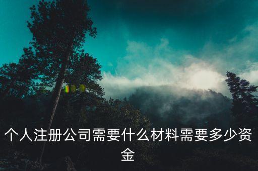 注冊(cè)個(gè)像三全這樣的公司需要什么，注冊(cè)新公司需要帶什么資料去工商局那里呀