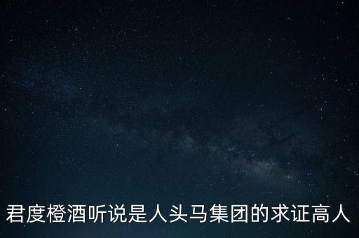 人頭馬君度集團與人頭馬什么關系，人頭馬KATHIAWAR是什么系列的