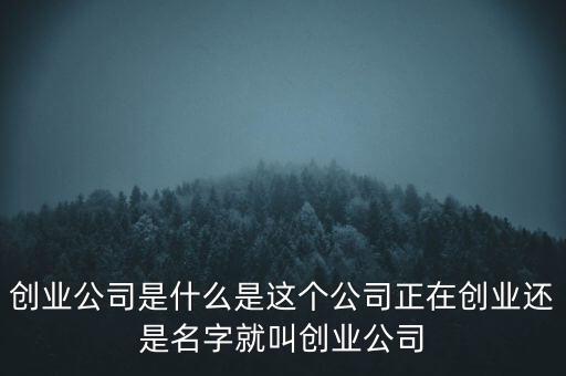 創(chuàng)業(yè)公司是什么是這個(gè)公司正在創(chuàng)業(yè)還是名字就叫創(chuàng)業(yè)公司