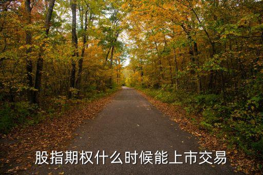 股指期權(quán)什么時(shí)候能上市交易