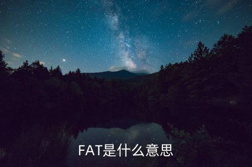 FAT是什么意思