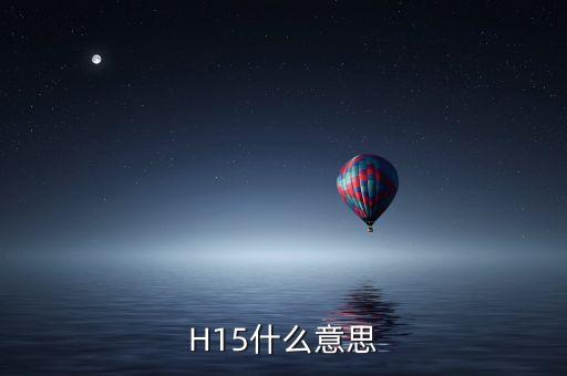 H15什么意思