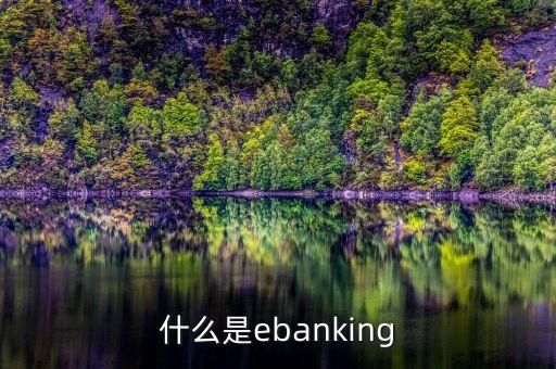 e金融是什么東西，什么是ebanking