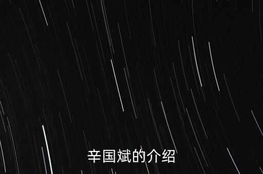 辛國斌的介紹