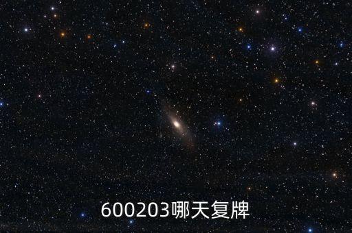 600203哪天復牌