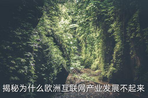 揭秘為什么歐洲互聯(lián)網(wǎng)產(chǎn)業(yè)發(fā)展不起來