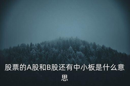 股票的A股和B股還有中小板是什么意思