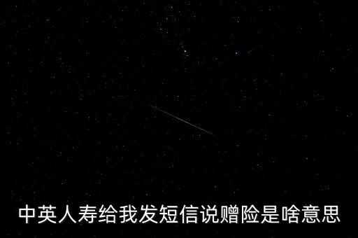 贈險是什么意思，新光海航人壽贈險是什么意思