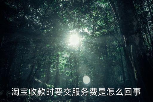 淘寶收款時(shí)要交服務(wù)費(fèi)是怎么回事