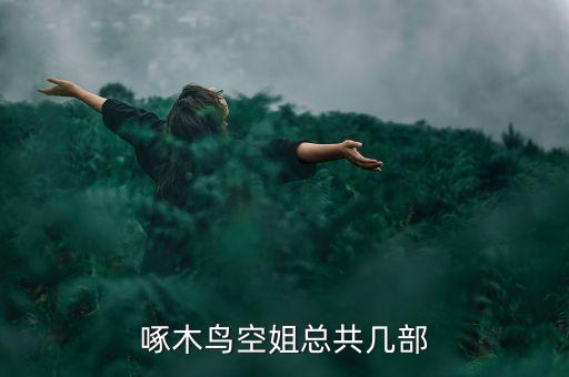 啄木鳥(niǎo)空姐總共幾部