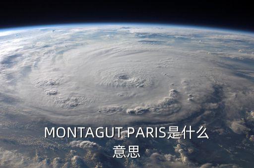 MONTAGUT PARIS是什么意思