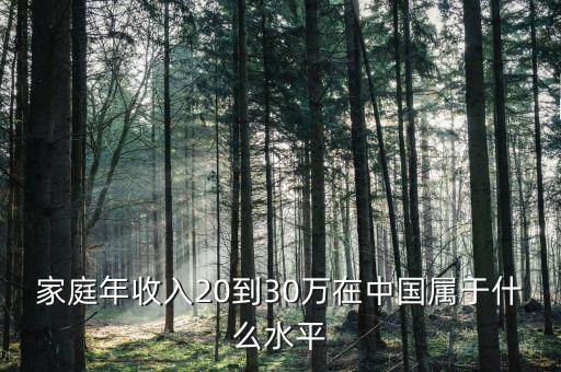 家庭年收入20到30萬在中國屬于什么水平