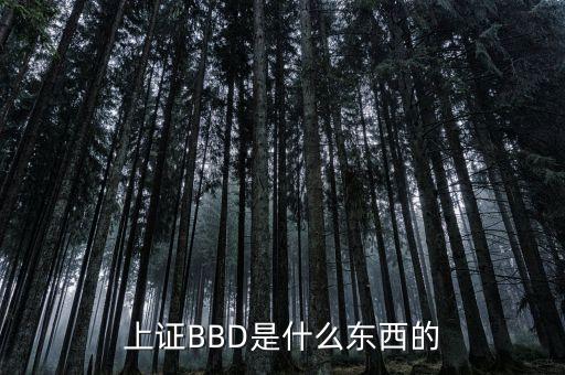 bbd凈差是什么意思，上證BBD是什么東西的