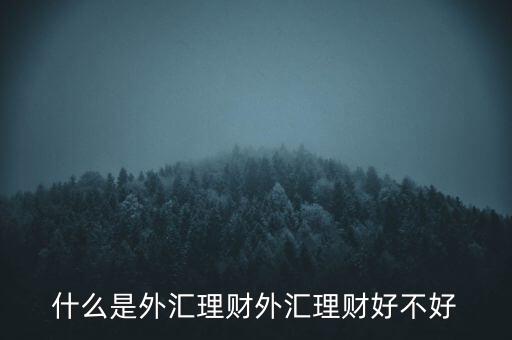 什么是外匯理財(cái)外匯理財(cái)好不好