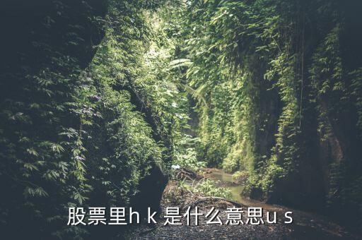 股票里h k 是什么意思u s