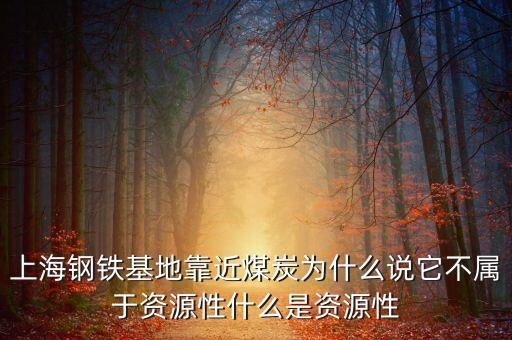 什么是資源開發(fā)性鐵路，為什么說青藏鐵路是西部大開發(fā)的標(biāo)志性工程