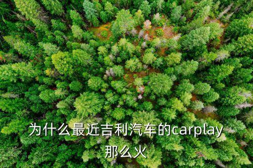 奧迪carplay是什么意思，有誰(shuí)知道CarLife怎樣連接奧迪