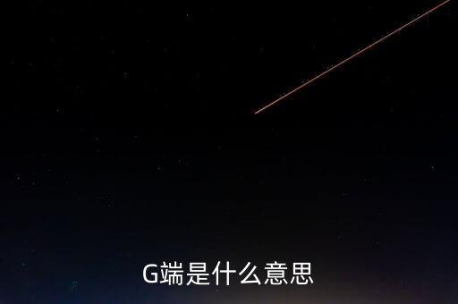 G端是什么意思