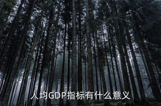 人均GDP指標(biāo)有什么意義