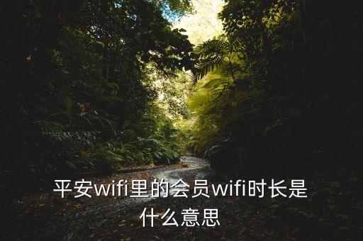 平安wifi里的會(huì)員wifi時(shí)長(zhǎng)是什么意思