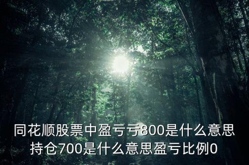 同花順股票中盈虧虧800是什么意思持倉700是什么意思盈虧比例0