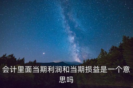 當(dāng)期利潤(rùn)是指什么意思，當(dāng)期利潤(rùn)當(dāng)期應(yīng)付利息等等中的當(dāng)期是什么含義