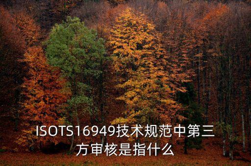 什么是第三方審計，ISOTS16949技術規(guī)范中第三方審核是指什么