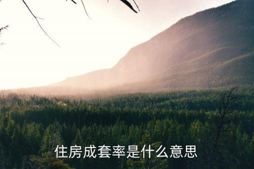 住房成套率是什么意思