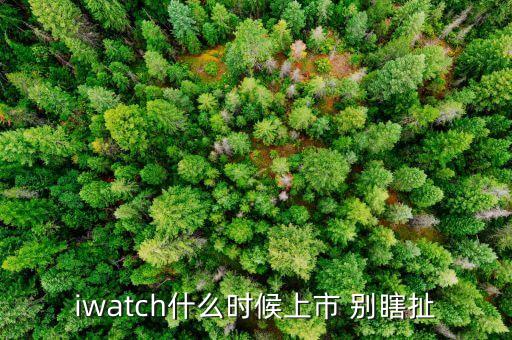 iwatch什么時(shí)候上市 別瞎扯