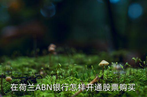 abn是什么銀行，ABC是什么銀行