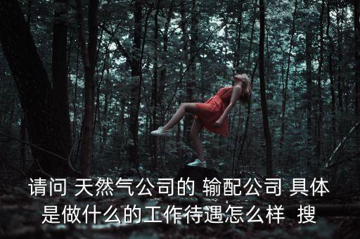 請(qǐng)問(wèn) 天然氣公司的 輸配公司 具體是做什么的工作待遇怎么樣  搜