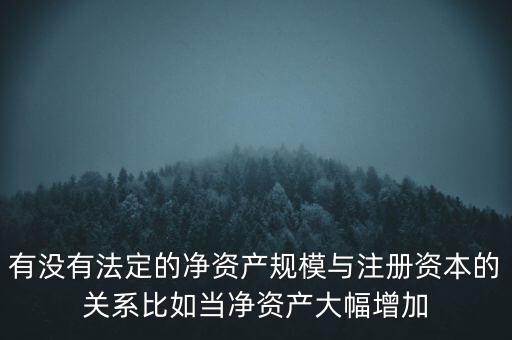 凈資產(chǎn)規(guī)模是什么，凈資產(chǎn)5億的企業(yè)是什么規(guī)模