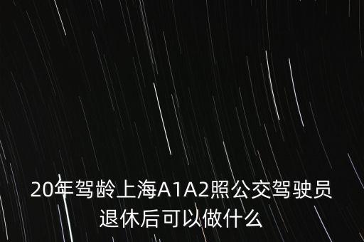 20年駕齡上海A1A2照公交駕駛員退休后可以做什么