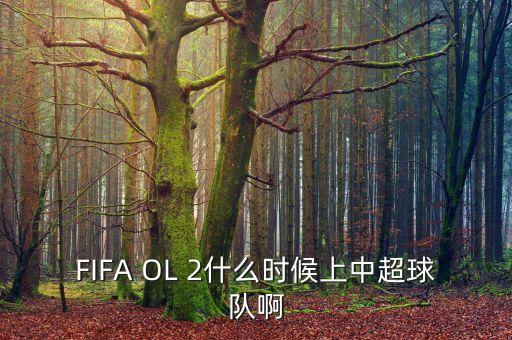 FIFA OL 2什么時候上中超球隊啊