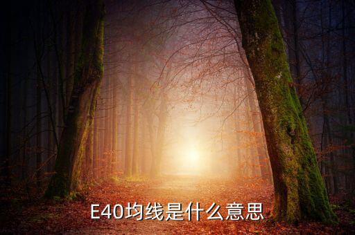 股票e40是什么，E40是什么