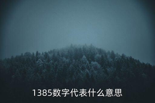 1385年什么，1385數(shù)字代表什么意思